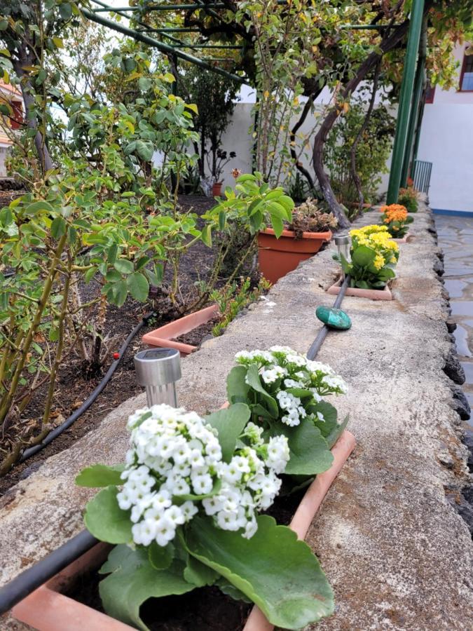 Appartamento Casa Natalia. Taibique Esterno foto